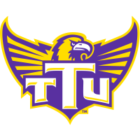 Tennessee-Martin Skyhawks logo