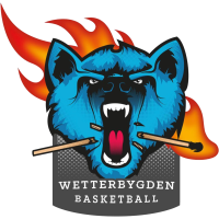 Djurgarden Basket logo