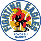 Toyotsu Fighting Eagles