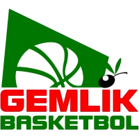 Istanbul Basket logo
