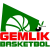Budo Gemlik Basketbol logo