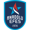 U18 Anadolu Efes logo