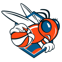 Indiana Fever logo