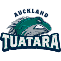 Taranaki Mountainairs logo