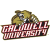 Caldwell Cougars logo