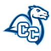 Connecticut College Camels logo