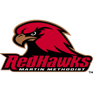 Martin Methodist Red Hawks logo