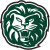 Piedmont Lions logo