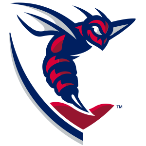 Shenandoah Hornets logo