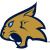 Thiel Tomcats logo