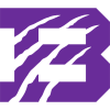 Bethel (Tennessee) Wildcats logo