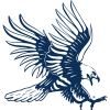 Dickinson State Blue Hawks logo