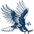 Dickinson State Blue Hawks logo