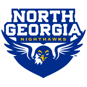North Georgia Nighthawks logo