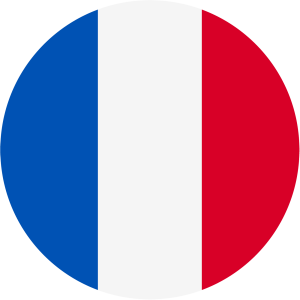 U17 France logo