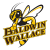 Baldwin-Wallace Yellow Jackets