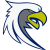 Toccoa Falls Eagles logo