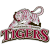 Campbellsville Tigers logo