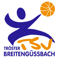SV Fellbach Flashers logo
