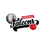 Nurnberg Falcons BC