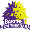 Timisoara logo