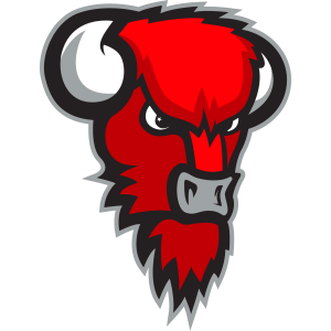 Bisons Loimaa logo