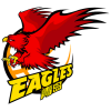 Qingdao Eagles logo
