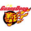 Guangdong Southern Tigers logo