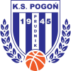 Pogoń Prudnik logo