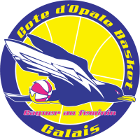 Nantes Rezé logo