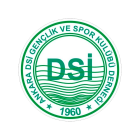 Ankara DSI