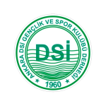 Ankara DSI