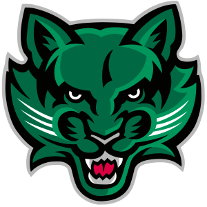 Binghamton Bearcats logo