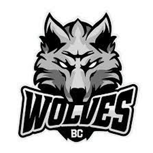 Alytus Wolves logo