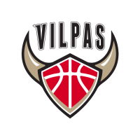 Salon Vilpas logo