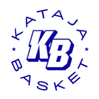 BC Nokia logo