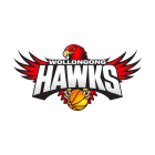 Wollongong Hawks