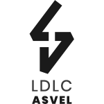 Logo U18 LDLC ASVEL