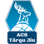 Logo CSM Targu Jiu